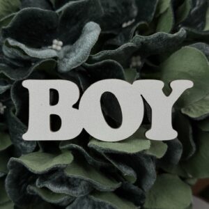 Topper BOY